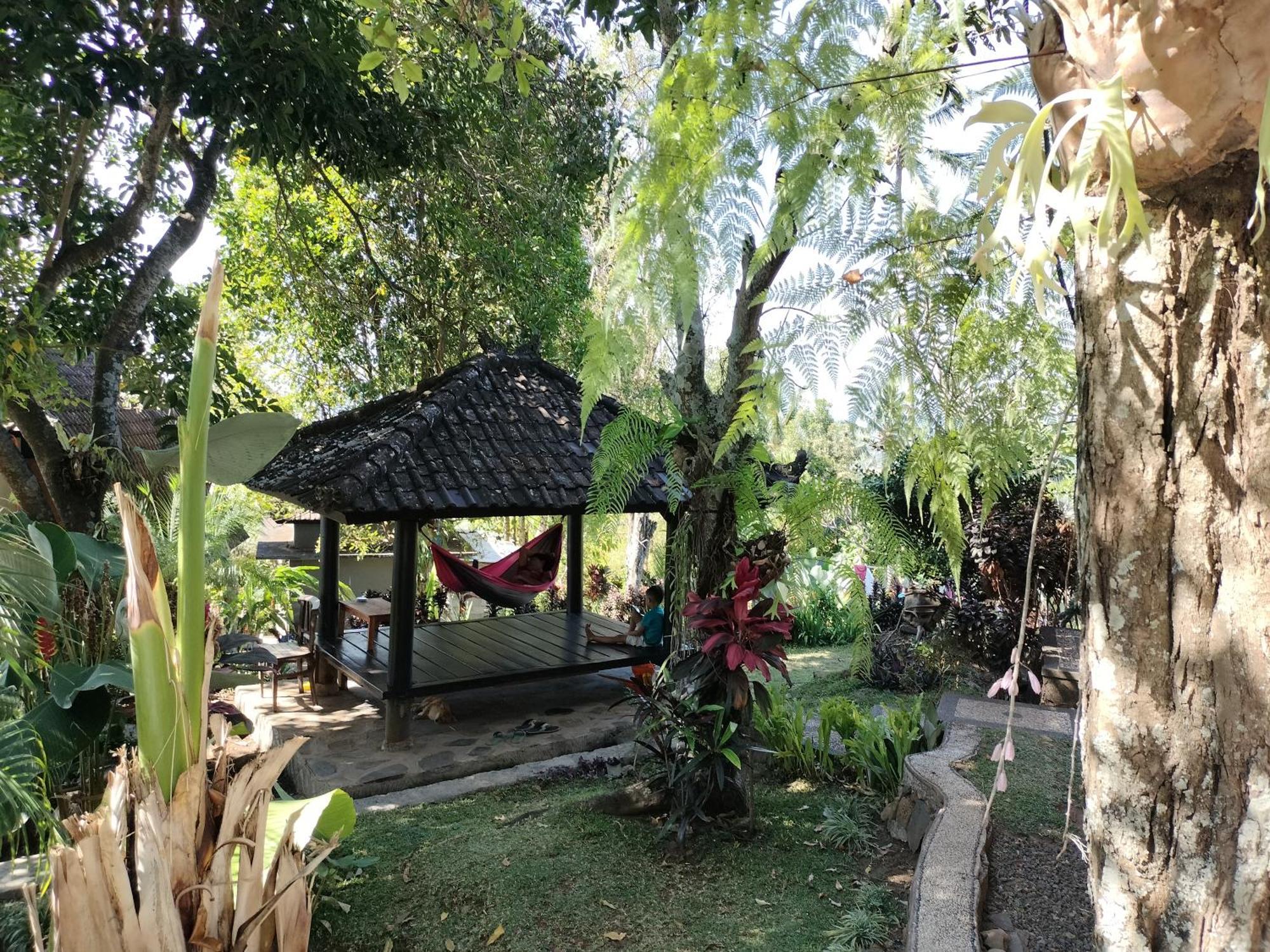 D'Kailash Retreat سينغاراجا المظهر الخارجي الصورة