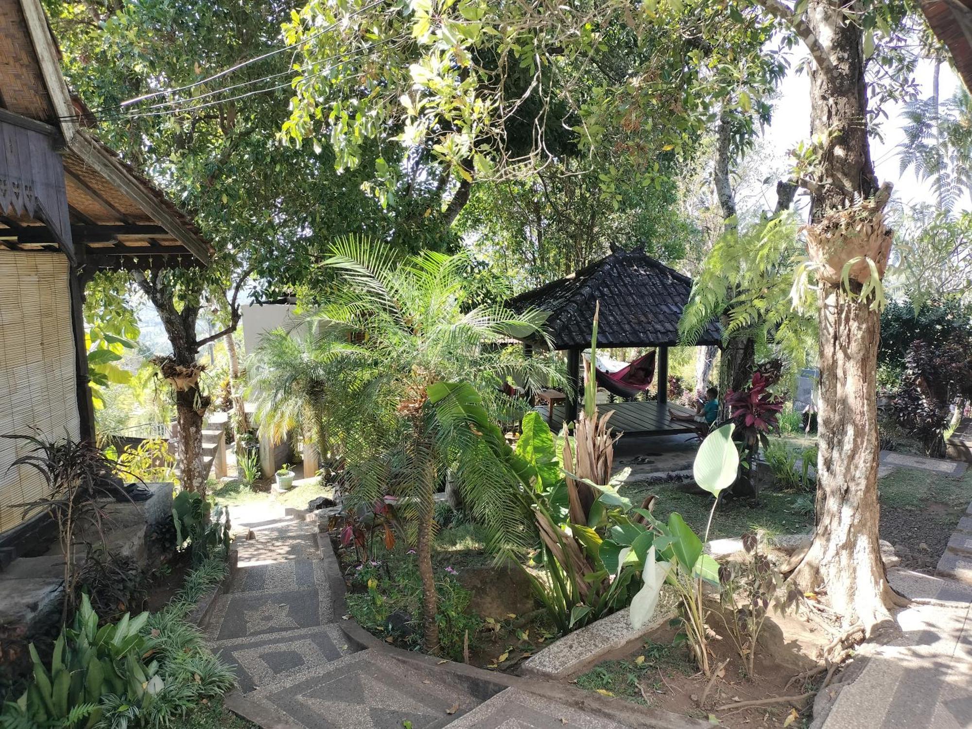 D'Kailash Retreat سينغاراجا المظهر الخارجي الصورة