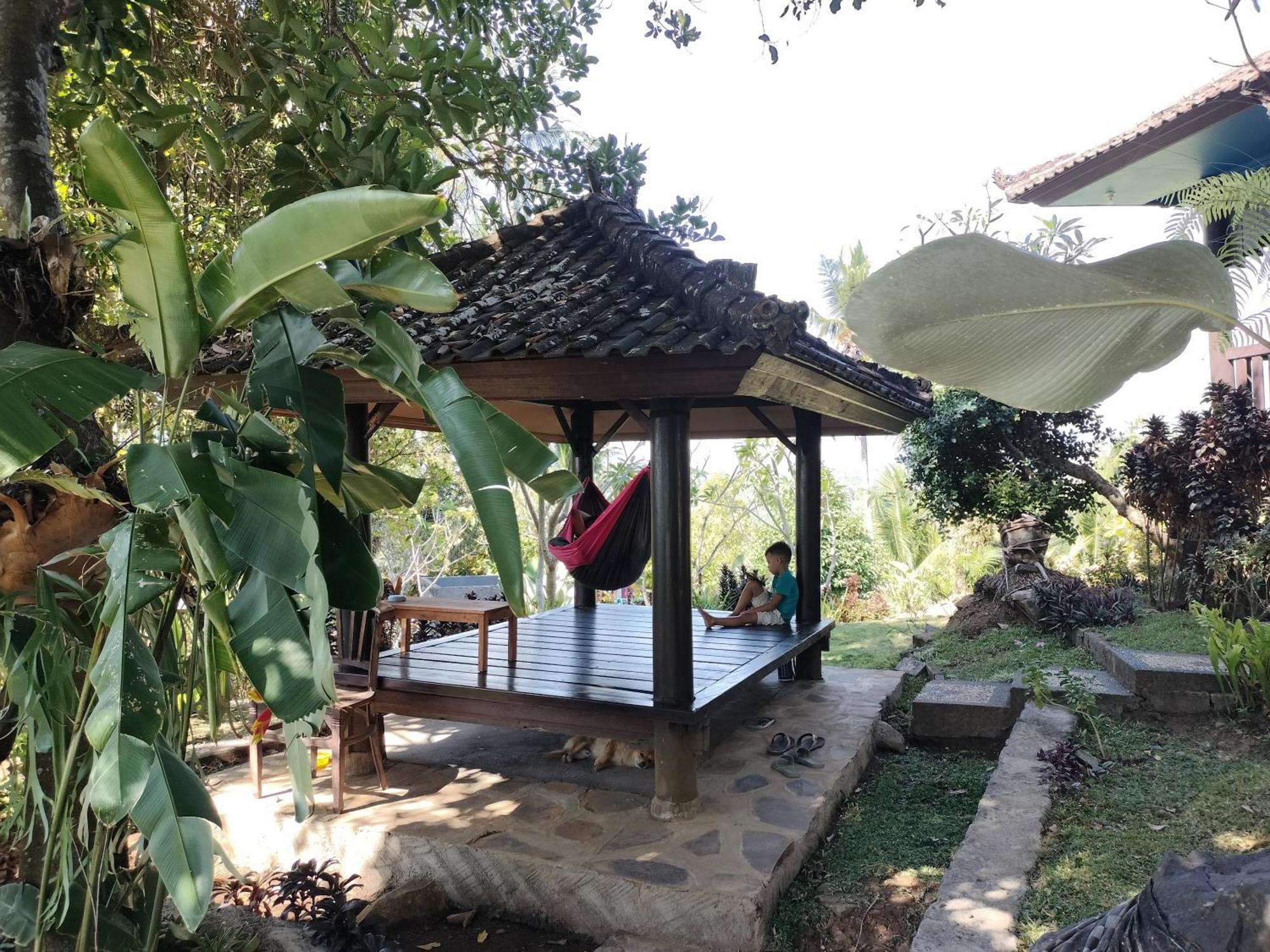 D'Kailash Retreat سينغاراجا المظهر الخارجي الصورة